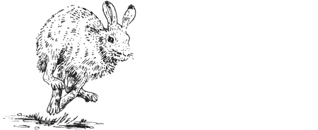 Иллюстрация к книге — Долгая дорога домой [img73.jpg]