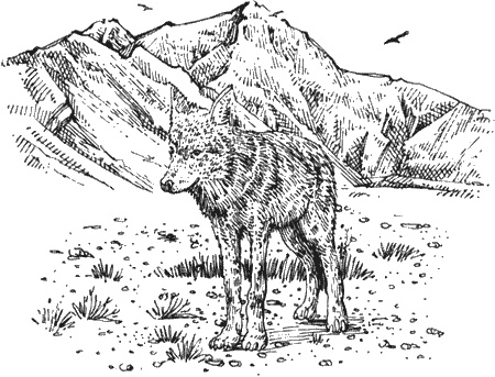 Иллюстрация к книге — Долгая дорога домой [img75.jpg]