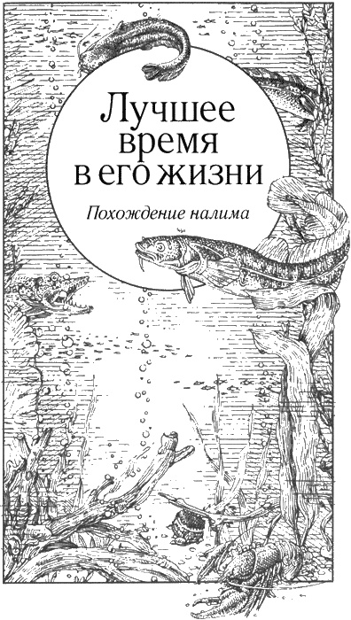 Иллюстрация к книге — Долгая дорога домой [img77.jpg]