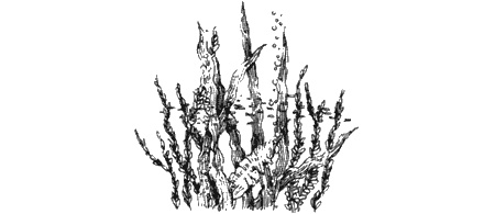 Иллюстрация к книге — Долгая дорога домой [img78.jpg]