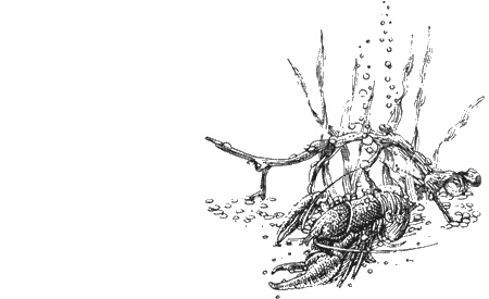 Иллюстрация к книге — Долгая дорога домой [img79.jpg]