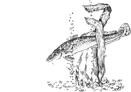 Иллюстрация к книге — Долгая дорога домой [img81.jpg]