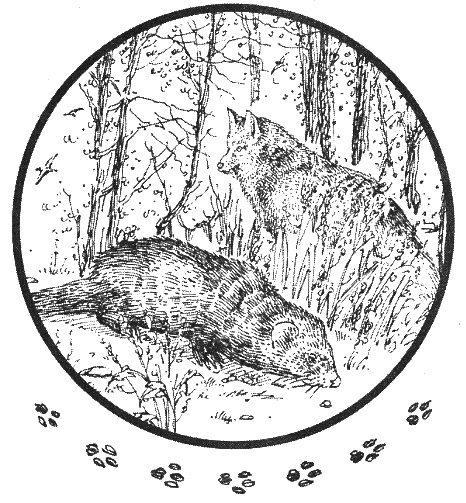 Иллюстрация к книге — Хорюшка [_004.jpg]