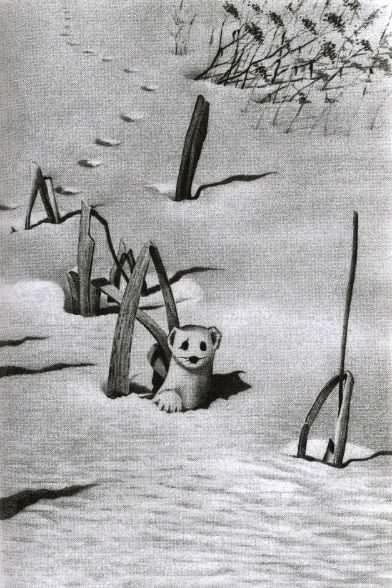 Иллюстрация к книге — Хорюшка [_006.jpg]