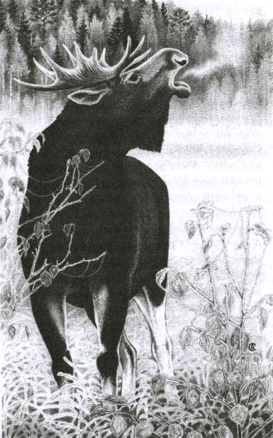 Иллюстрация к книге — Хорюшка [_013.jpg]