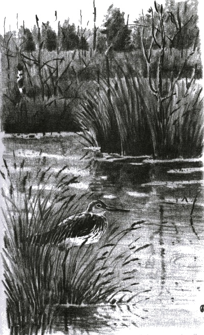 Иллюстрация к книге — Хорюшка [_014.jpg]