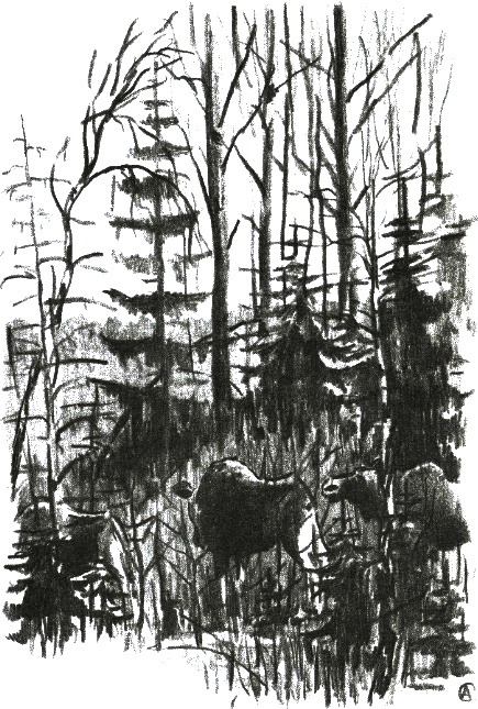 Иллюстрация к книге — Хорюшка [_015.jpg]