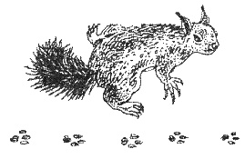 Иллюстрация к книге — Хорюшка [_017.jpg]