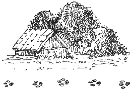 Иллюстрация к книге — Хорюшка [_019.jpg]