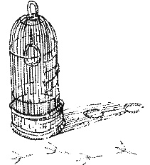 Иллюстрация к книге — Хорюшка [_024.jpg]