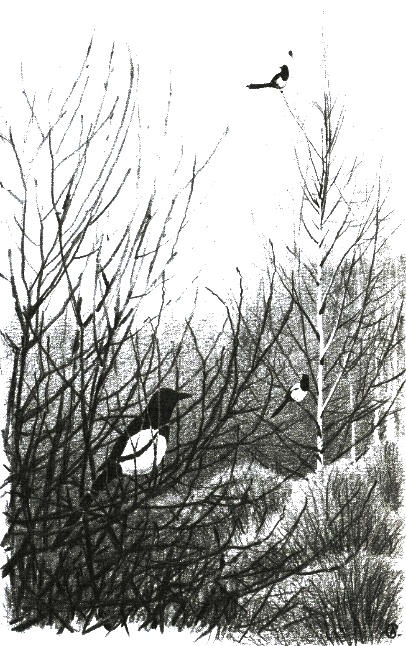 Иллюстрация к книге — Хорюшка [_027.jpg]