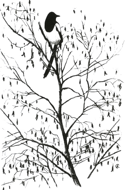 Иллюстрация к книге — Хорюшка [_034.jpg]