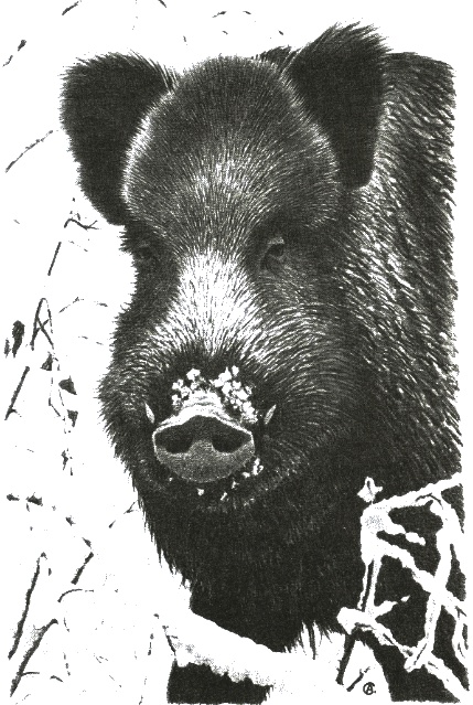 Иллюстрация к книге — Хорюшка [_036.jpg]