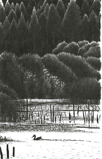 Иллюстрация к книге — Хорюшка [_047.jpg]