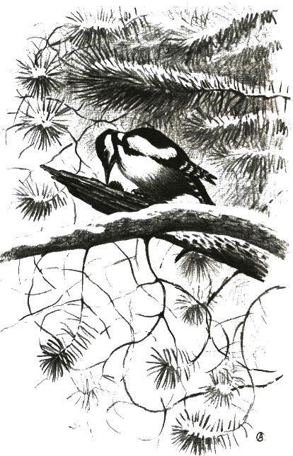 Иллюстрация к книге — Хорюшка [_049.jpg]