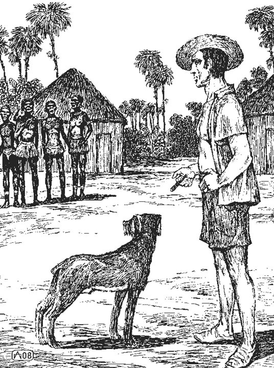 Иллюстрация к книге — Джерри-островитянин. Майкл, брат Джерри [i_001.jpg]