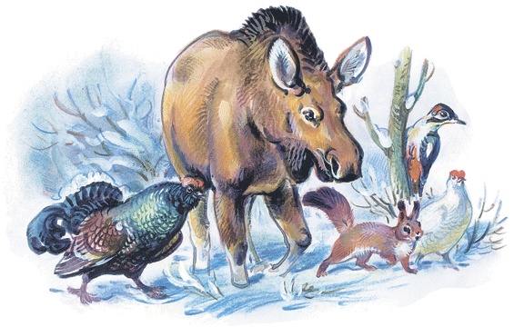 Иллюстрация к книге — Лесные сказки [i_001.jpg]