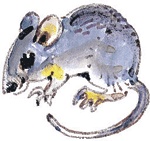 Иллюстрация к книге — Лесные сказки [i_003.jpg]