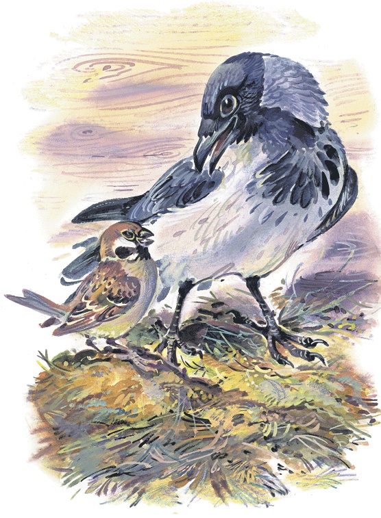 Иллюстрация к книге — Лесные сказки [i_005.jpg]