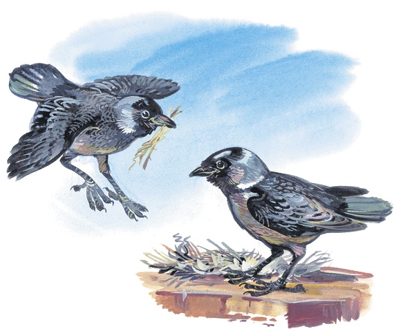 Иллюстрация к книге — Лесные сказки [i_007.jpg]