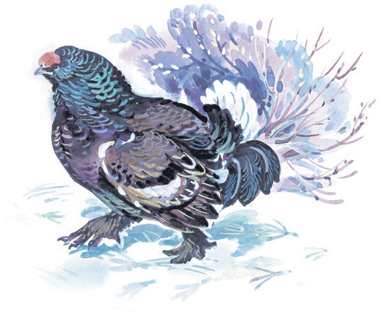 Иллюстрация к книге — Лесные сказки [i_008.jpg]