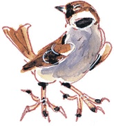 Иллюстрация к книге — Лесные сказки [i_020.jpg]