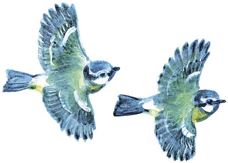 Иллюстрация к книге — Лесные сказки [i_024.jpg]