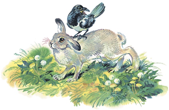 Иллюстрация к книге — Лесные сказки [i_027.jpg]