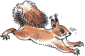 Иллюстрация к книге — Лесные сказки [i_031.jpg]