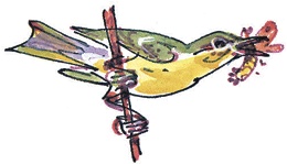 Иллюстрация к книге — Лесные сказки [i_038.jpg]