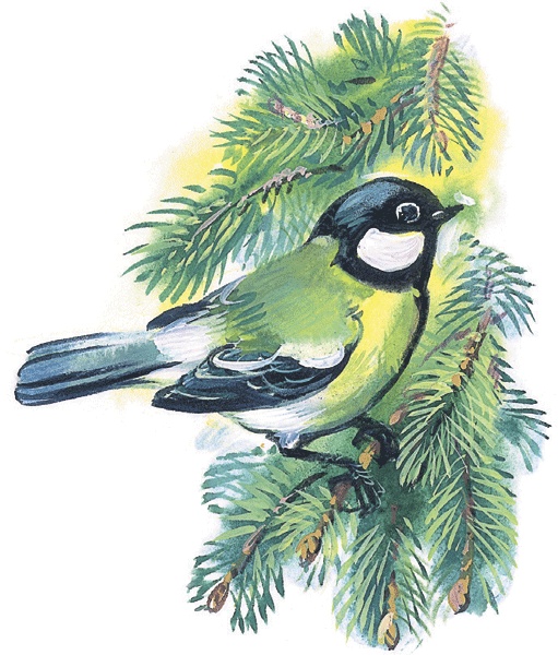 Иллюстрация к книге — Лесные сказки [i_050.jpg]