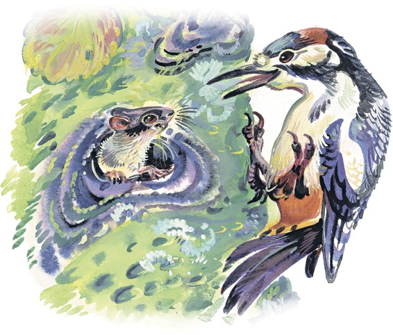 Иллюстрация к книге — Лесные сказки [i_055.jpg]