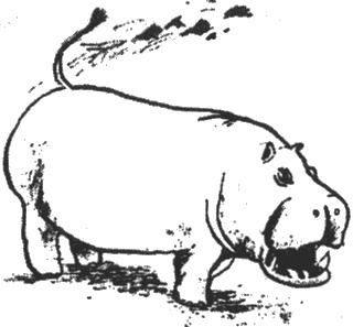 Иллюстрация к книге — Почему панда стоит на голове и другие удивительные истории о животных [i_008.jpg]