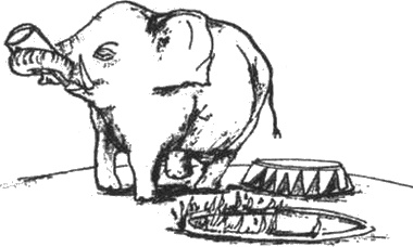 Иллюстрация к книге — Почему панда стоит на голове и другие удивительные истории о животных [i_010.jpg]