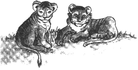 Иллюстрация к книге — Почему панда стоит на голове и другие удивительные истории о животных [i_016.jpg]