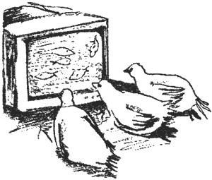 Иллюстрация к книге — Почему панда стоит на голове и другие удивительные истории о животных [i_032.jpg]