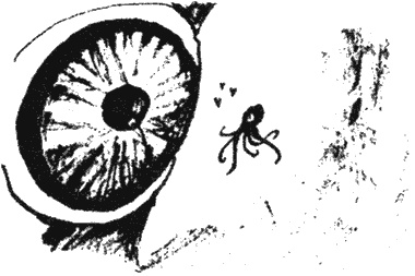 Иллюстрация к книге — Почему панда стоит на голове и другие удивительные истории о животных [i_036.jpg]