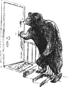 Иллюстрация к книге — Почему панда стоит на голове и другие удивительные истории о животных [i_038.jpg]