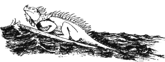 Иллюстрация к книге — Почему панда стоит на голове и другие удивительные истории о животных [i_047.jpg]