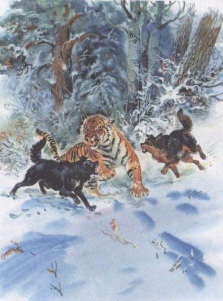 Иллюстрация к книге — Золотая Ригма [i_002.jpg]