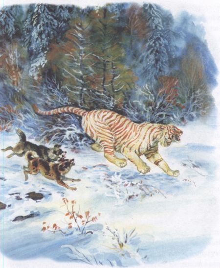 Иллюстрация к книге — Золотая Ригма [i_005.jpg]