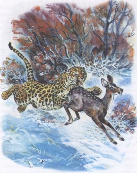 Иллюстрация к книге — Золотая Ригма [i_010.jpg]