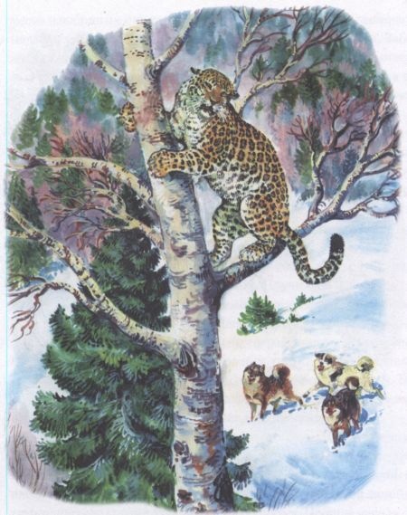 Иллюстрация к книге — Золотая Ригма [i_011.jpg]