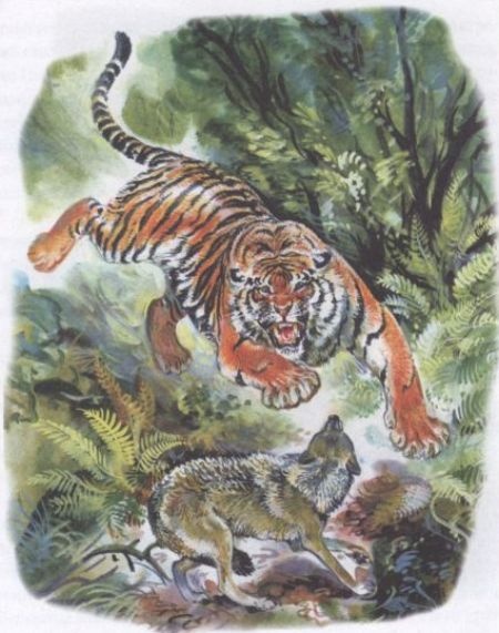 Иллюстрация к книге — Золотая Ригма [i_014.jpg]