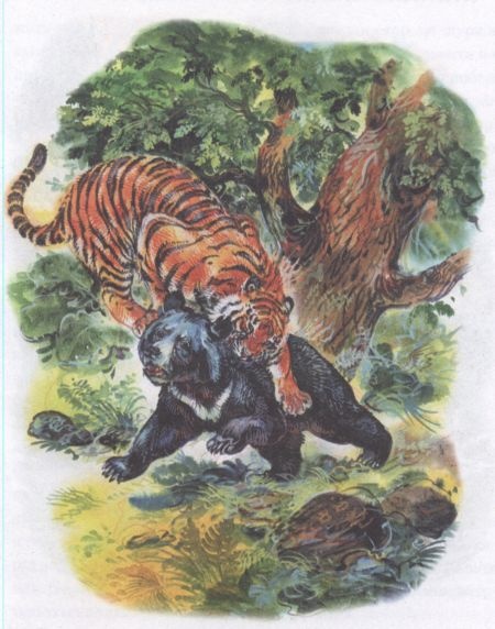 Иллюстрация к книге — Золотая Ригма [i_015.jpg]