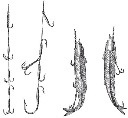 Иллюстрация к книге — Исконно русская рыбалка. Жизнь и ловля пресноводных рыб [i_017.jpg]