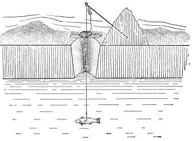 Иллюстрация к книге — Исконно русская рыбалка. Жизнь и ловля пресноводных рыб [i_025.jpg]
