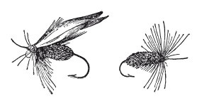 Иллюстрация к книге — Исконно русская рыбалка. Жизнь и ловля пресноводных рыб [i_029.jpg]