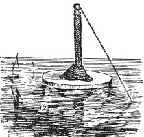 Иллюстрация к книге — Исконно русская рыбалка. Жизнь и ловля пресноводных рыб [i_047.jpg]