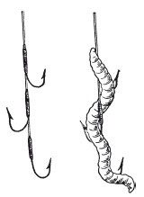 Иллюстрация к книге — Исконно русская рыбалка. Жизнь и ловля пресноводных рыб [i_102.jpg]